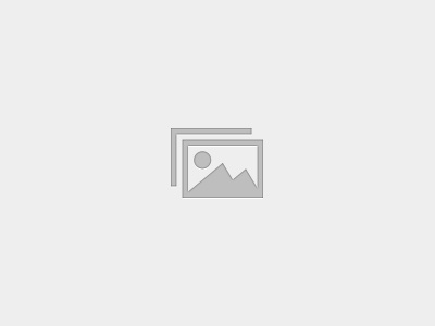 Espacios que venden: Gestión de Exhibiciones y Layouts en Retail